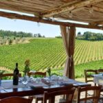 Best Wineries Near Florence for a Day Trip (2026 Guide)