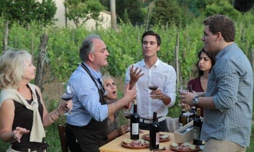 Tuscany’s Hidden Wineries: 10 Family-Owned Vineyards Worth Visiting