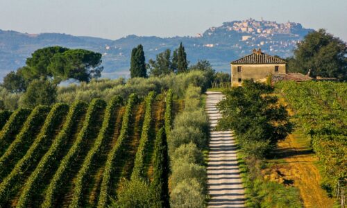 Montepulciano Wine Tours from Florence: Tuscany’s Most Underrated Wine Region