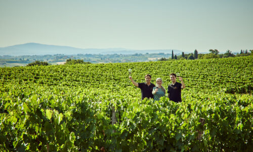 The Ultimate Tuscany Wine Tour from Florence